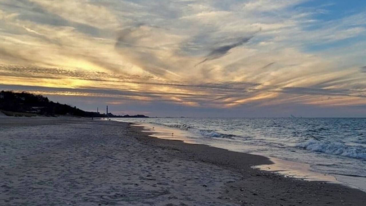 Photo of Others in Michigan City