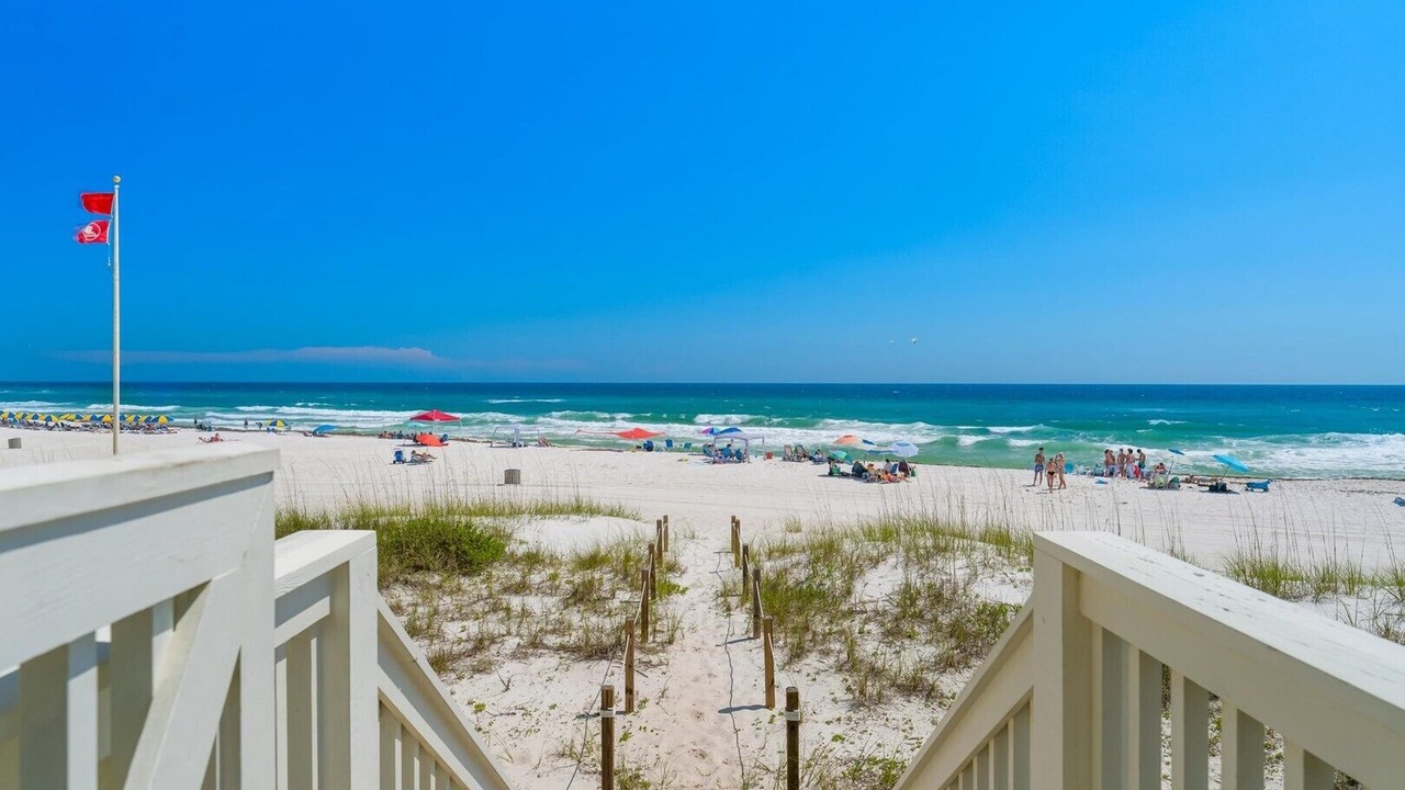 Photo of Others in West Panama City Beach