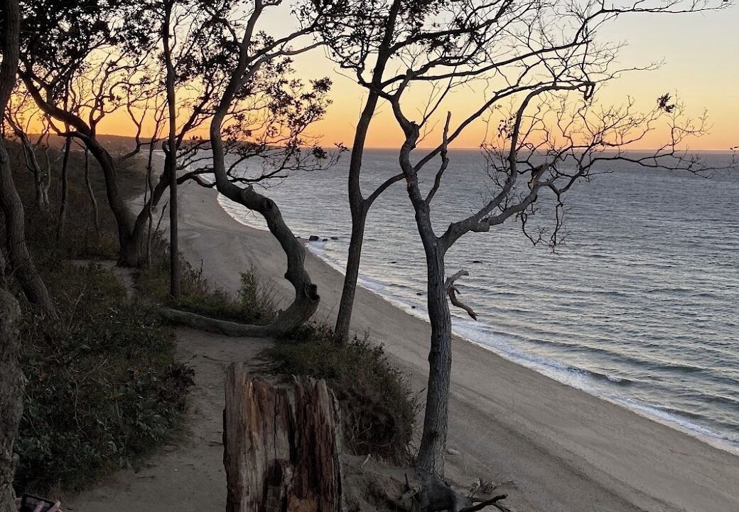 Photo of Others in Sound Beach