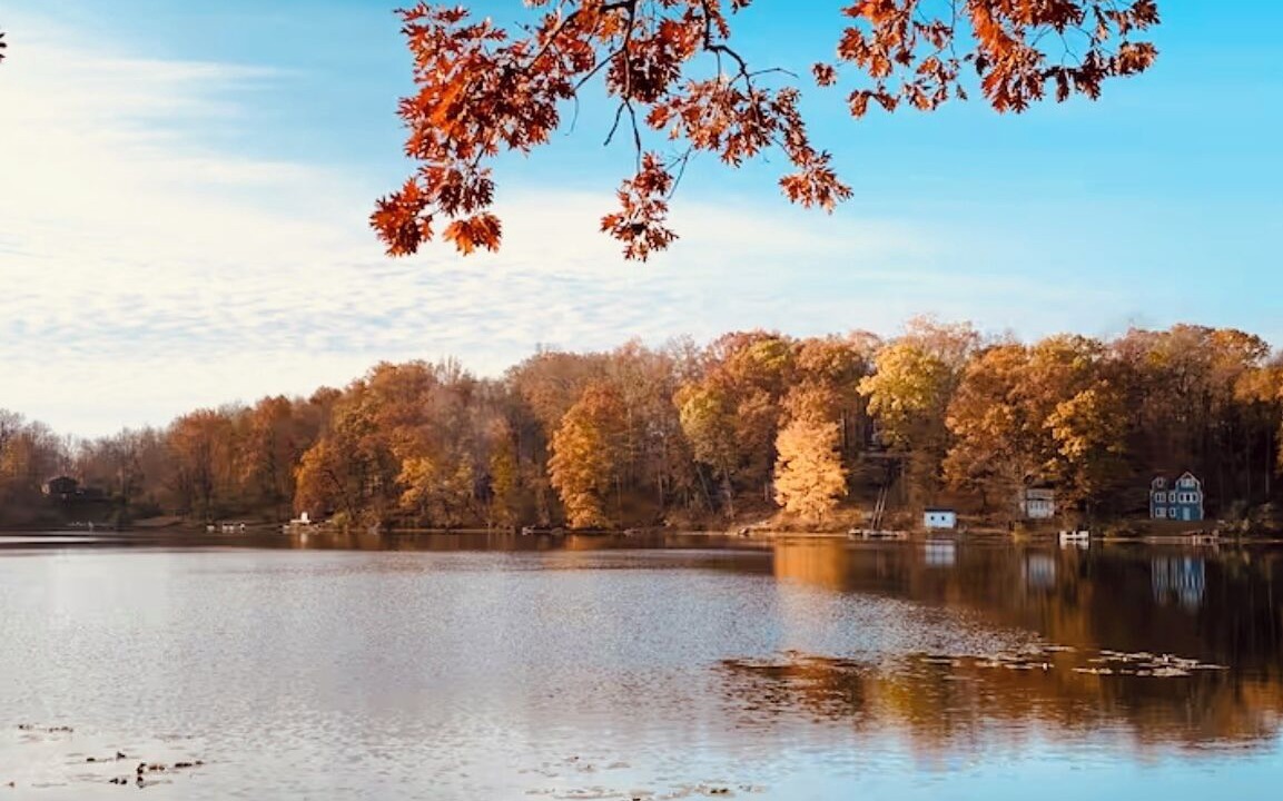 Photo of Others in Syracuse