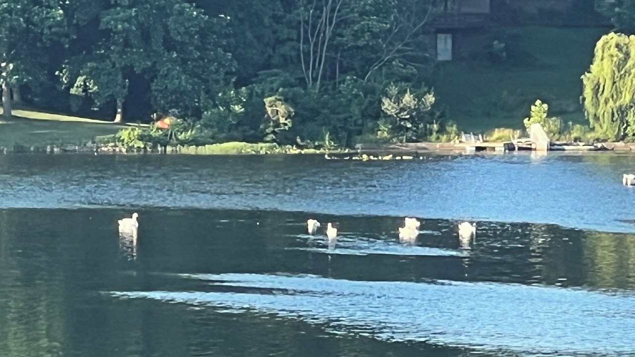 Photo of Outdoor in Syracuse