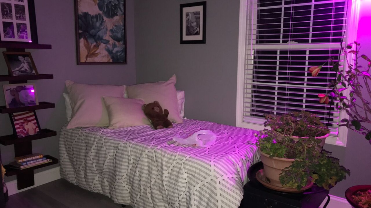 Photo of Bedroom in Stockwell