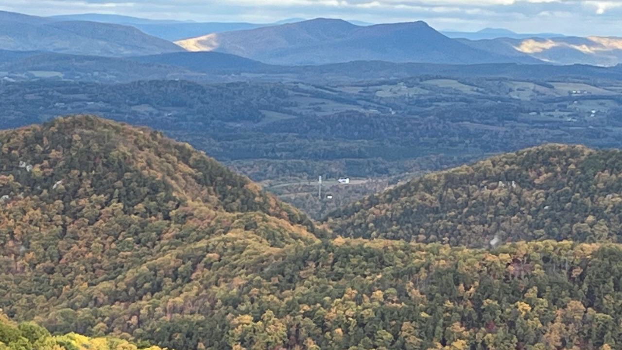 Photo of Others in Buena Vista