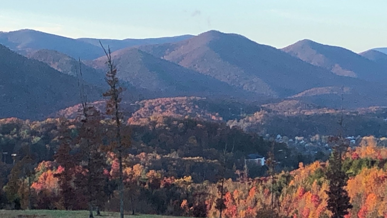 Photo of Others in Buena Vista
