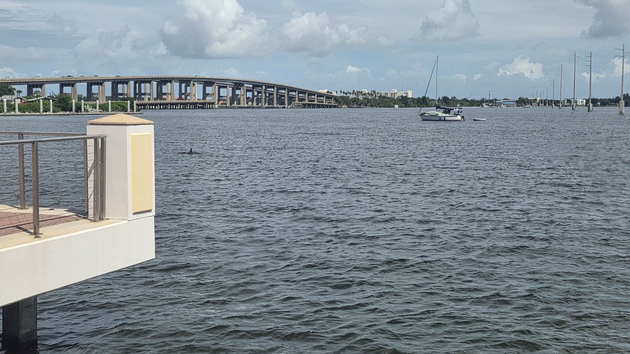 Photo of Others in Cocoa