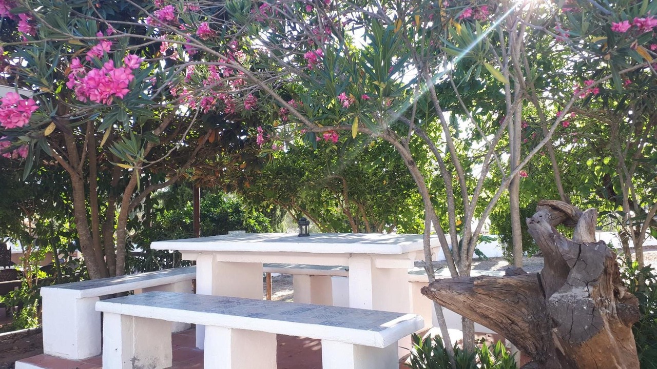 Photo of Outdoor in Corte do Pinto