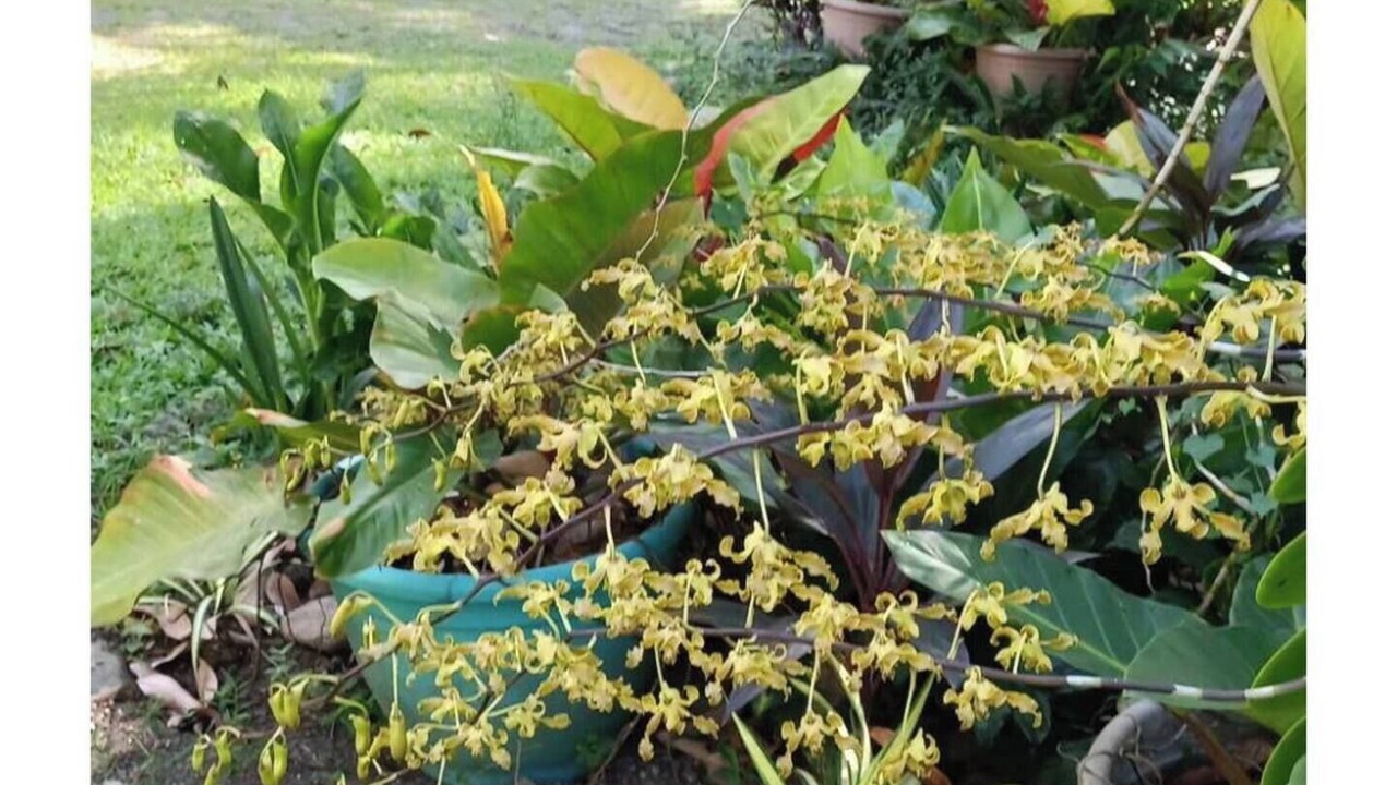 Photo of Outdoor in Catarman