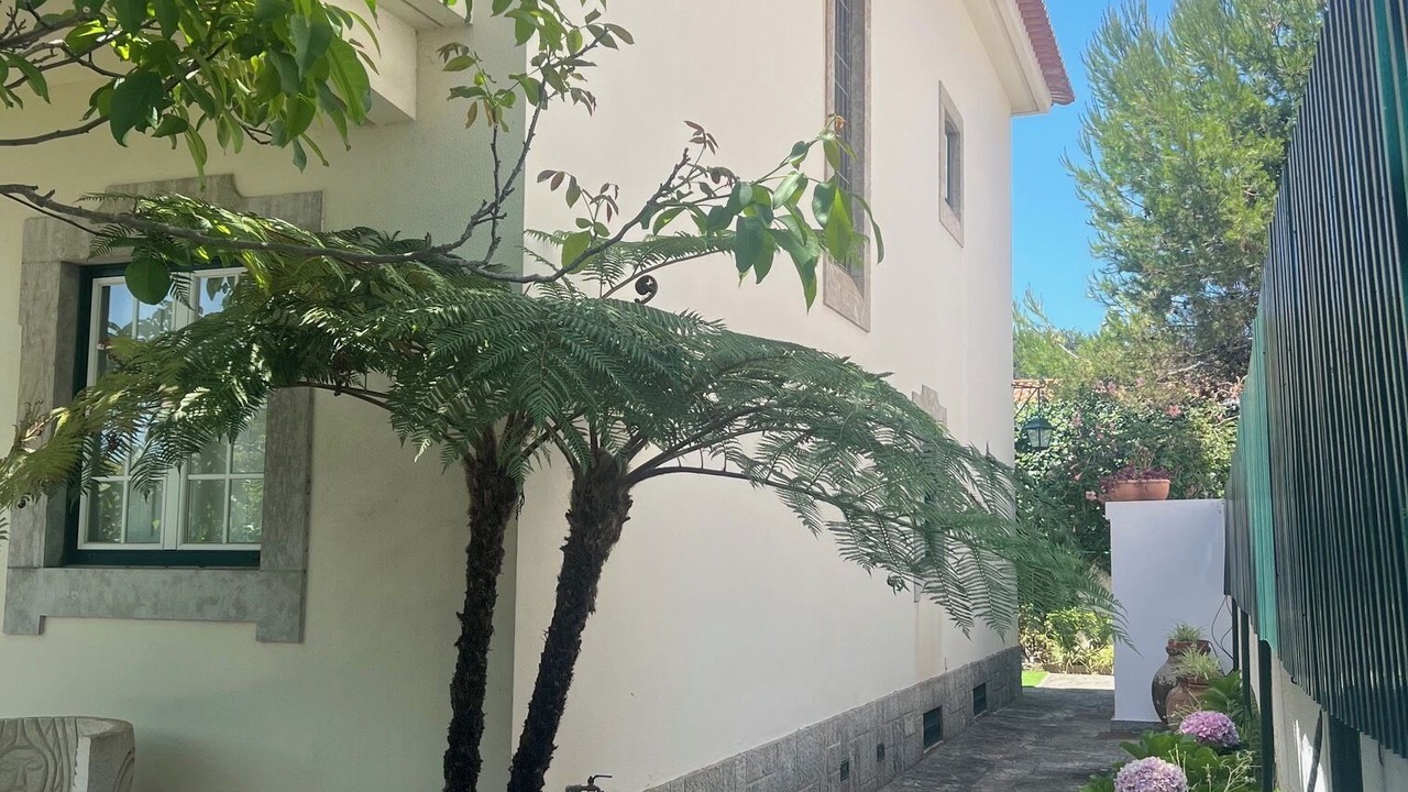 Photo of Outdoor in Parede