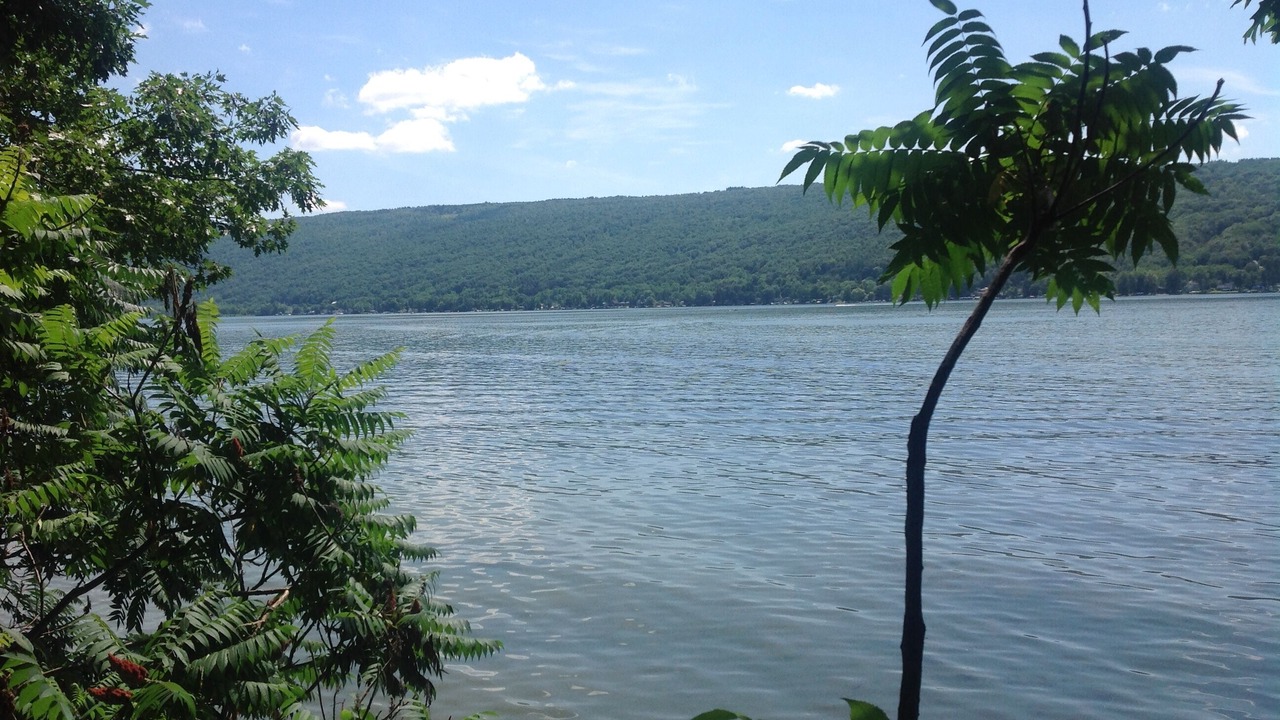 Photo of Others in Honeoye