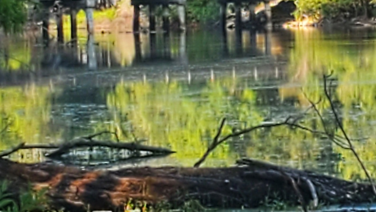 Photo of Others in Nobleton