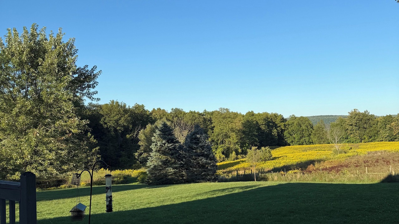 Photo of Outdoor in Newfield