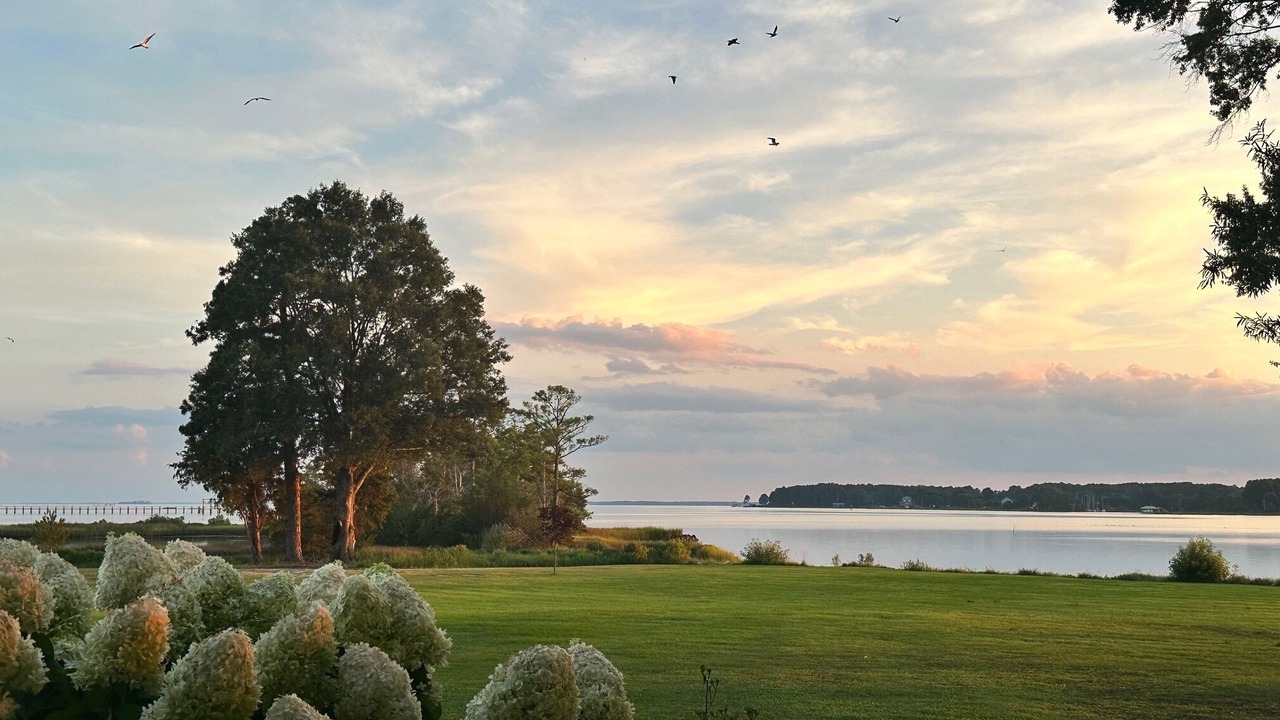 Photo of Others in Port Haywood