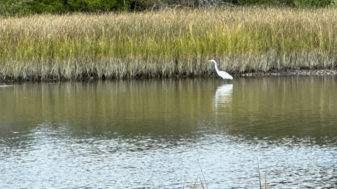 Photo of Others in Port Haywood
