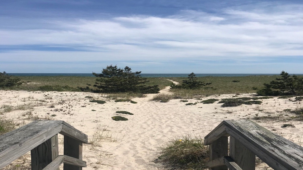 Photo of Others in Westhampton Beach