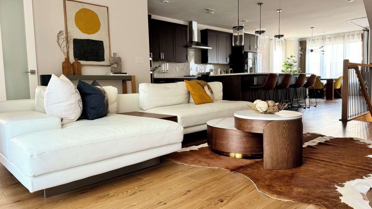 Photo of Livingroom in Chantilly