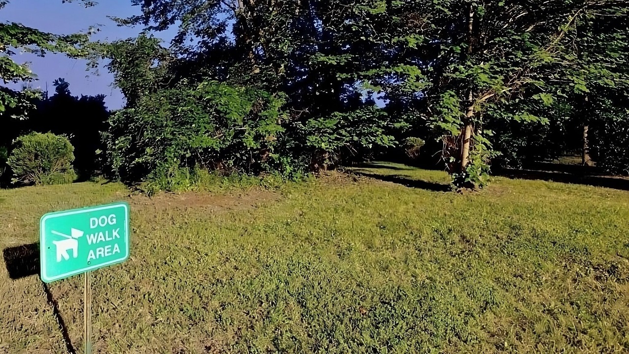 Photo of Others in Newport News