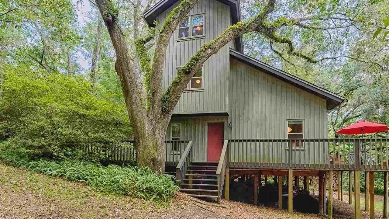 Photo of Outdoor in Tallahassee