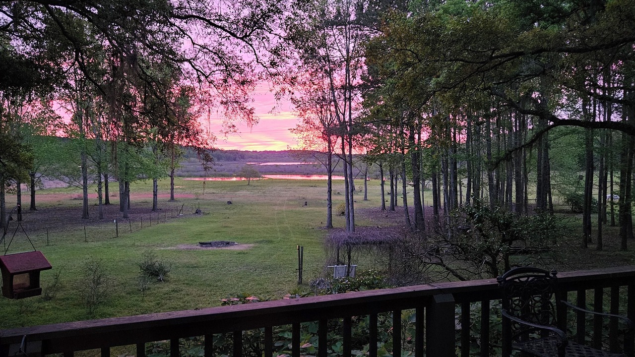 Photo of Outdoor in Tallahassee