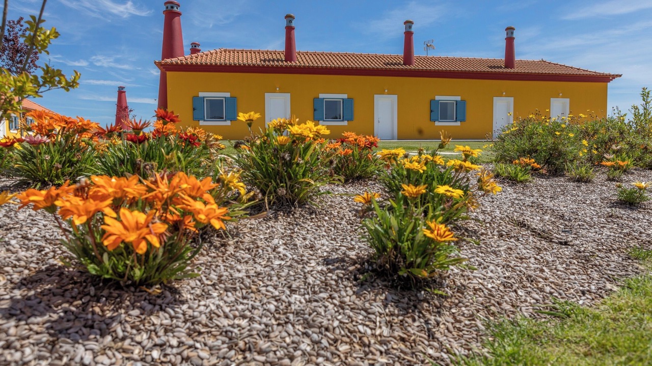 Photo of Outdoor in Rio Maior