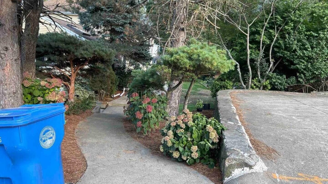 Photo of Outdoor in The Lanes