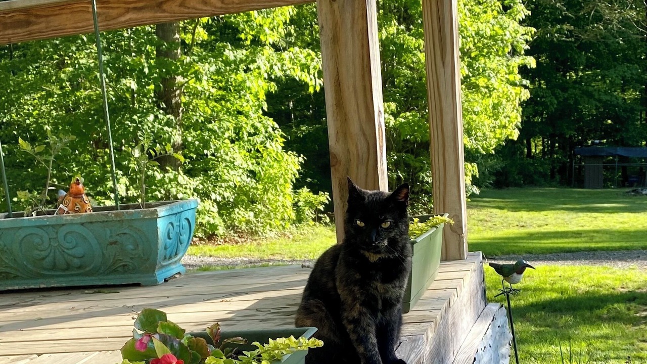 Photo of Outdoor in Glace