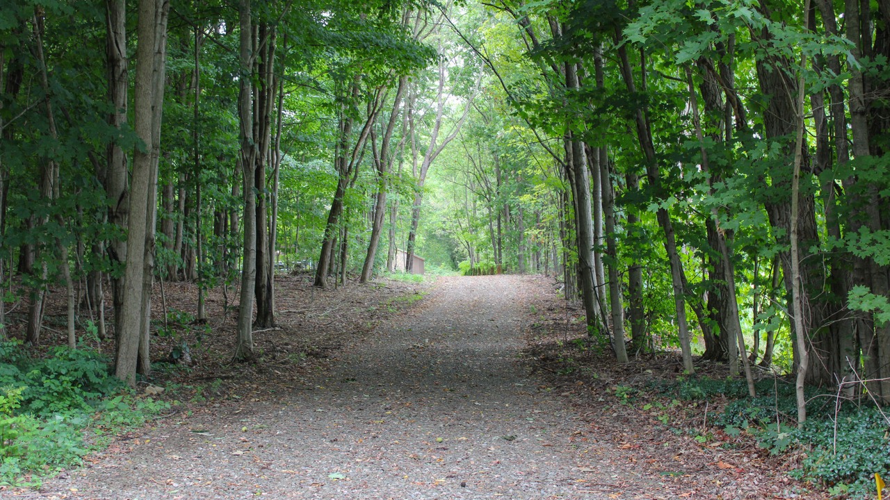 Photo of Others in Silver Creek