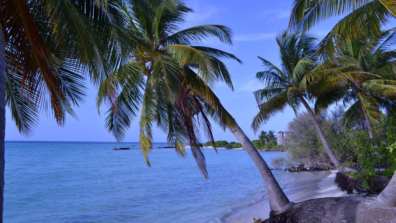 Photo of Others in Nilandhoo