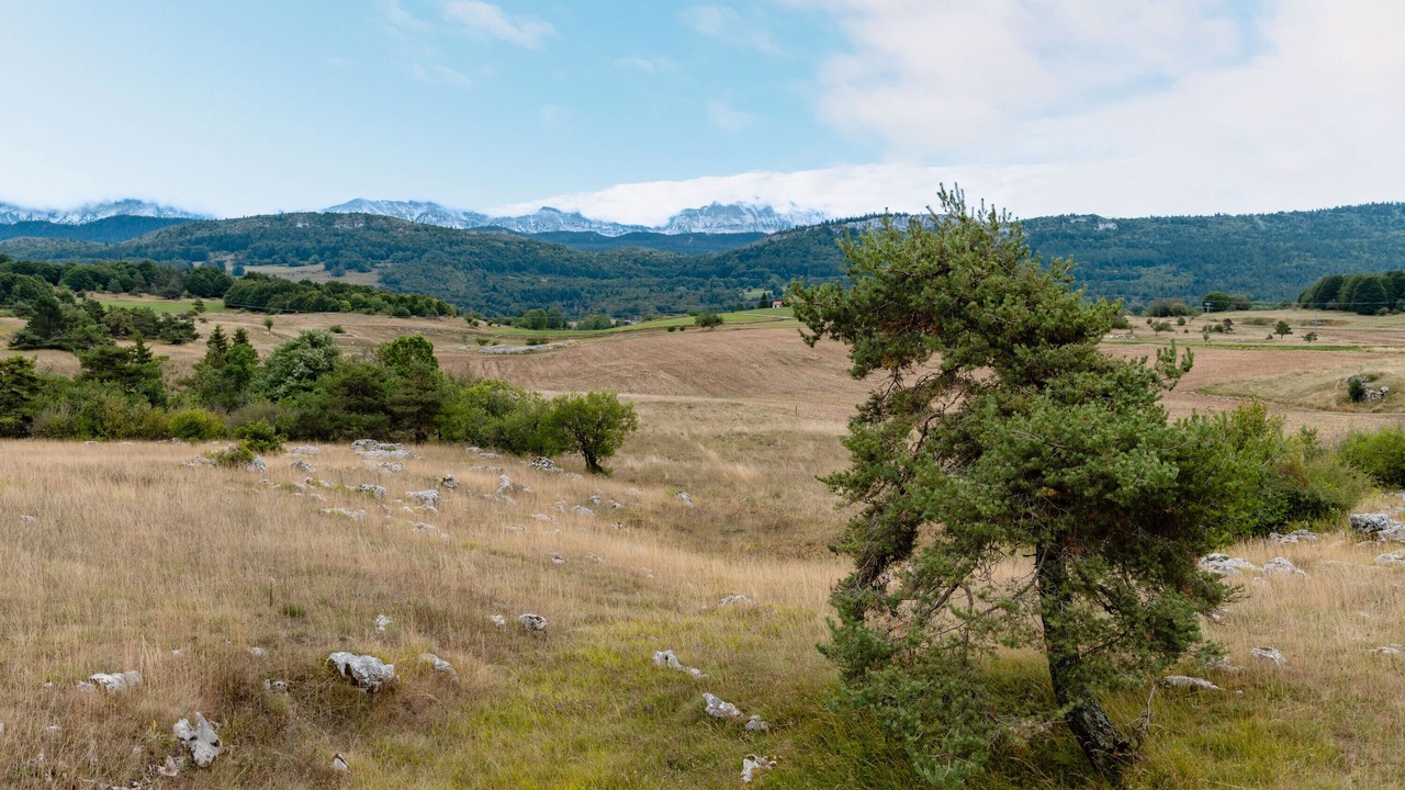 Photo of Others in Vassieux-en-Vercors