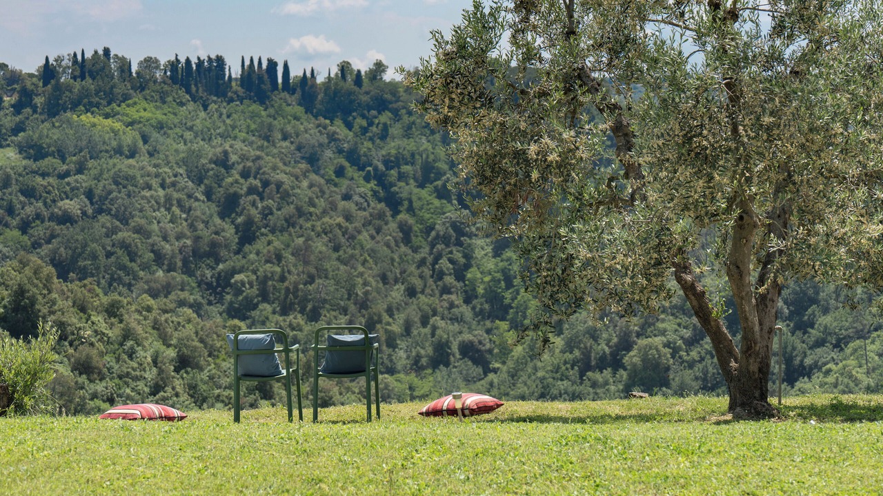 Photo of Outdoor in Palaia