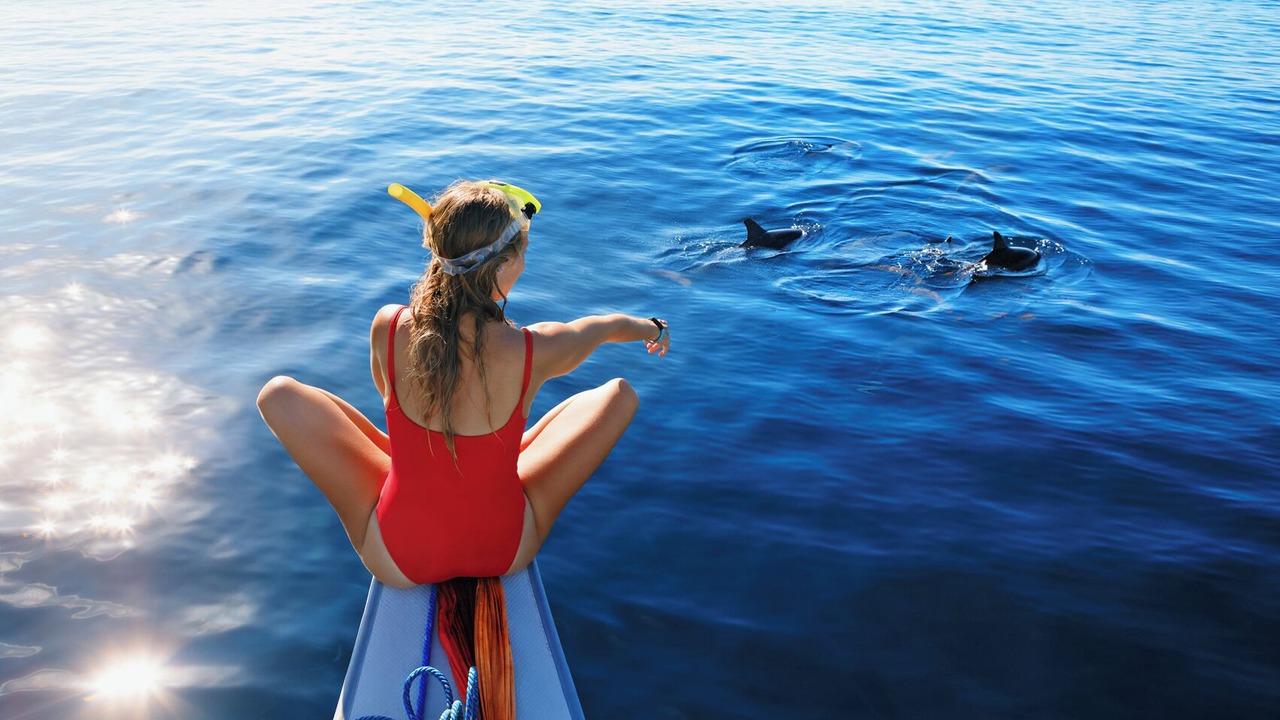 Photo of Others in Port Grimaud