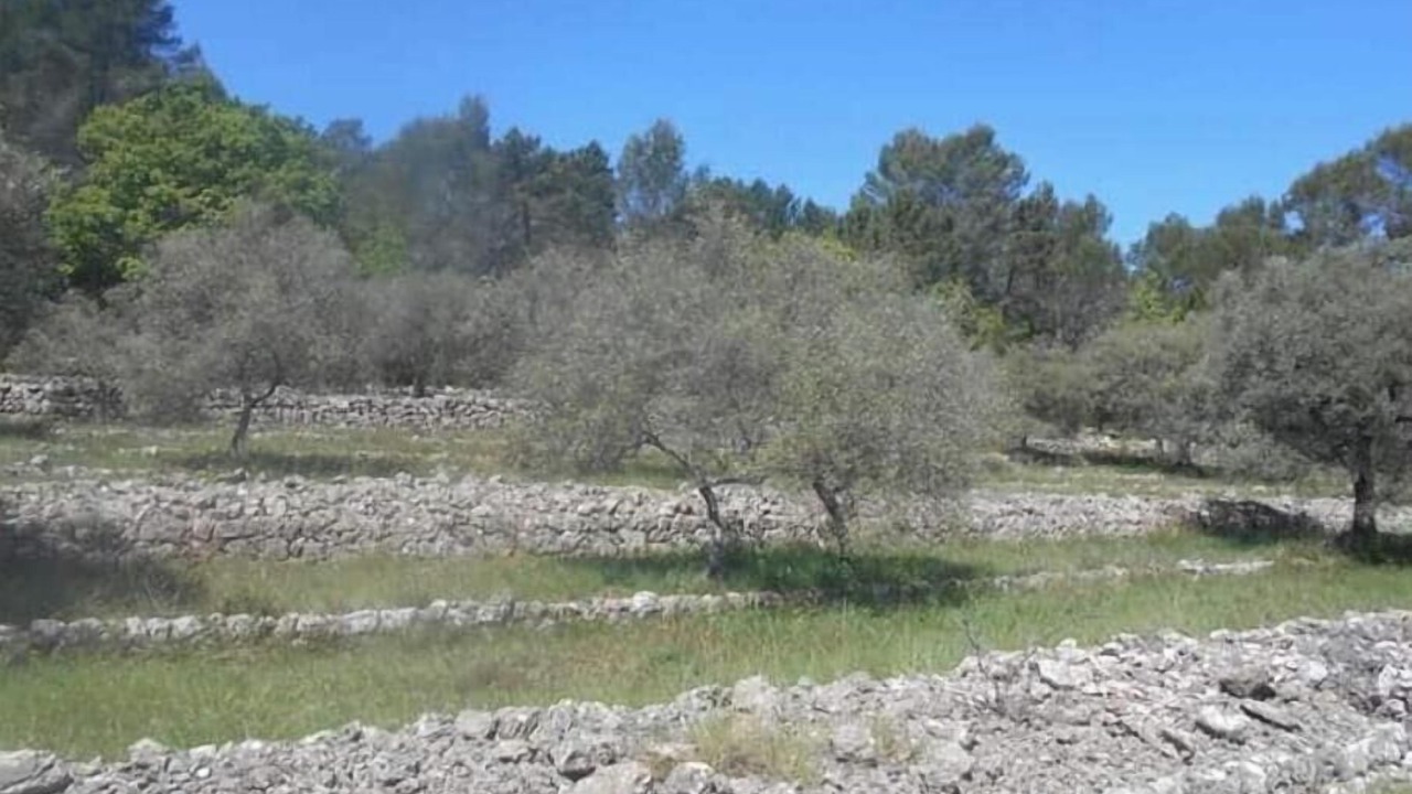 Photo of Others in Callian