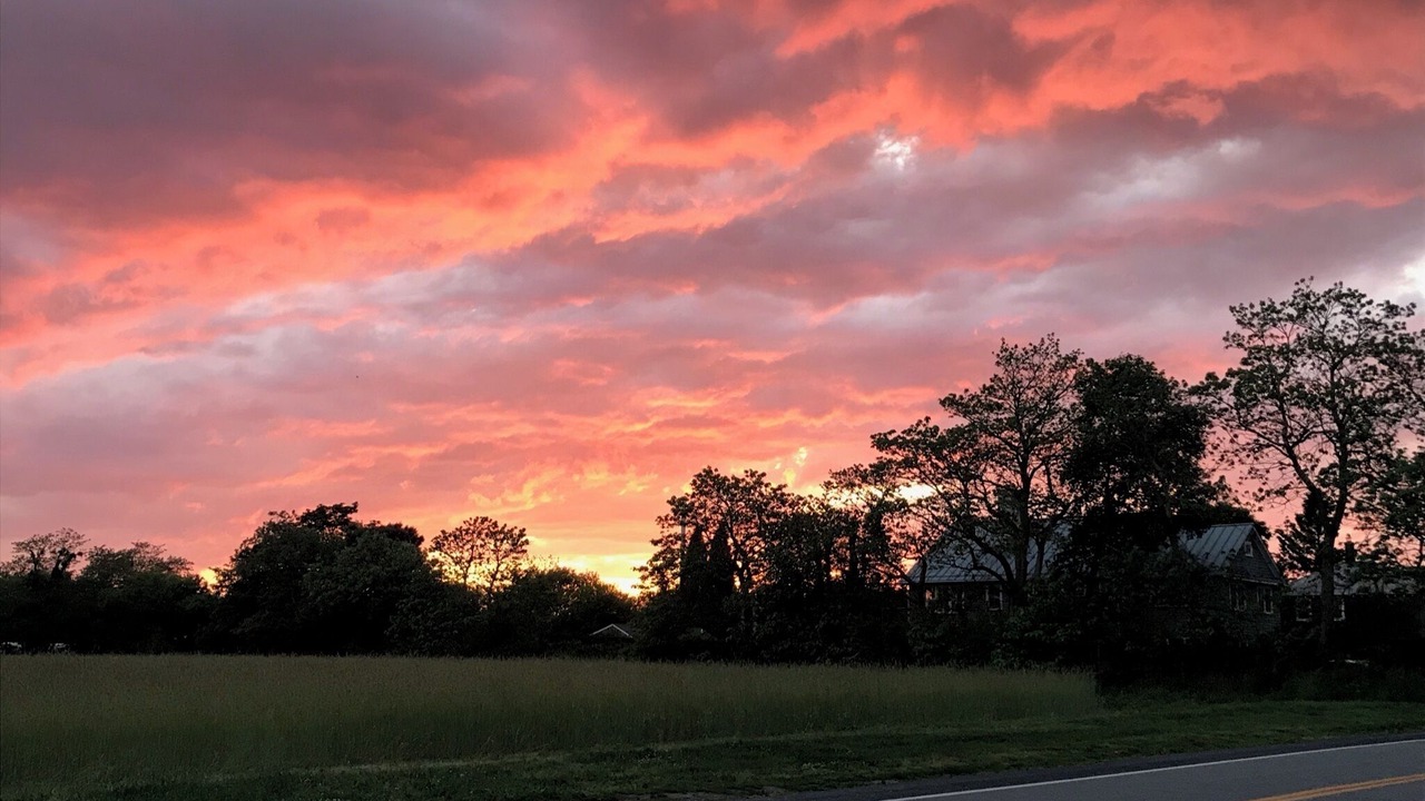 Photo of Outdoor in Bridgehampton