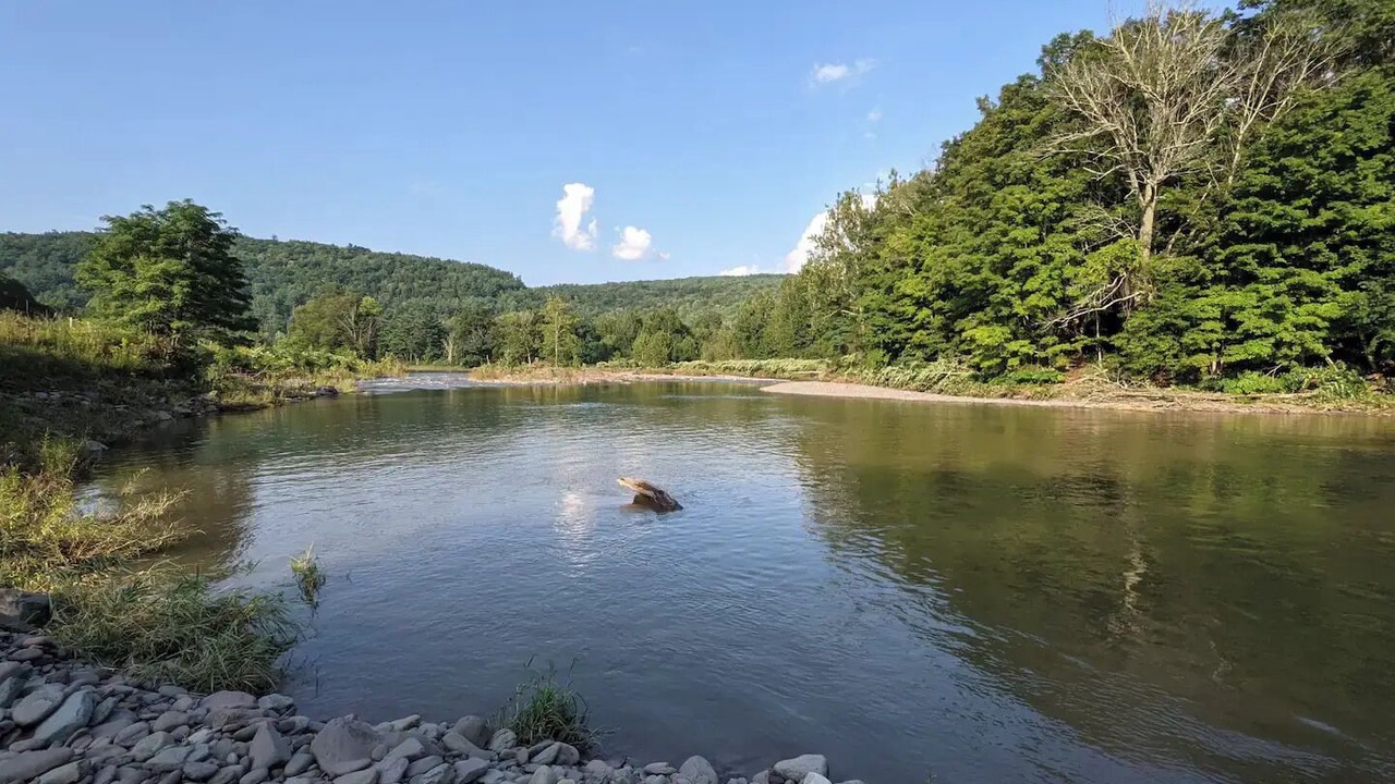 Photo of Outdoor in Prattsville