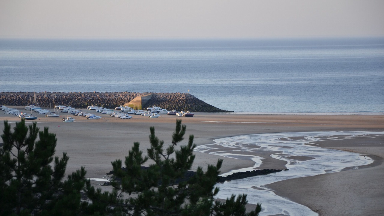 Photo of Others in Sables-d'Or-les-Pins