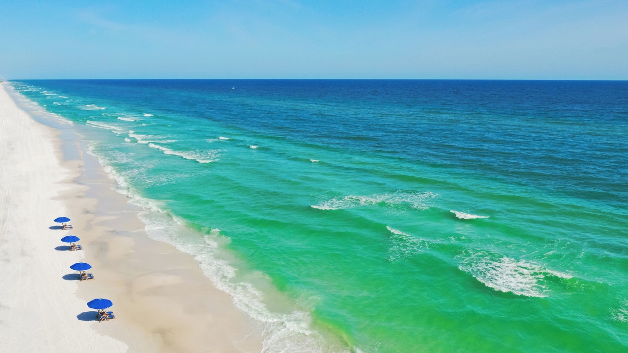 Photo of Others in Dune Allen Beach