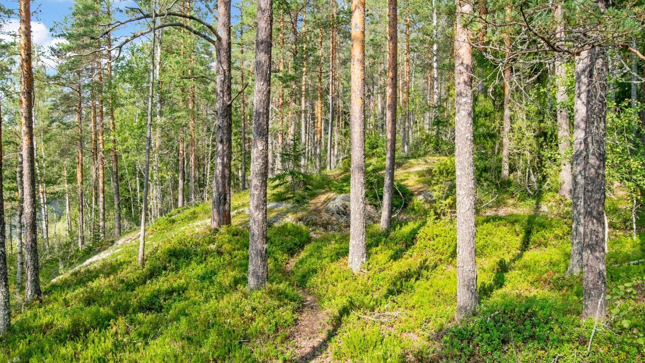 Photo of Outdoor in Mantyharju