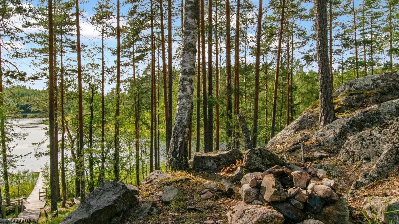 Photo of Outdoor in Mantyharju