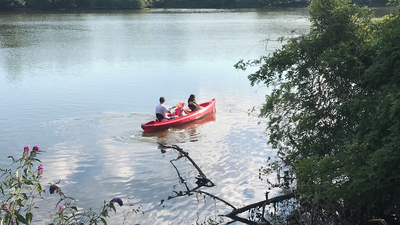 Photo of Others in Centerport