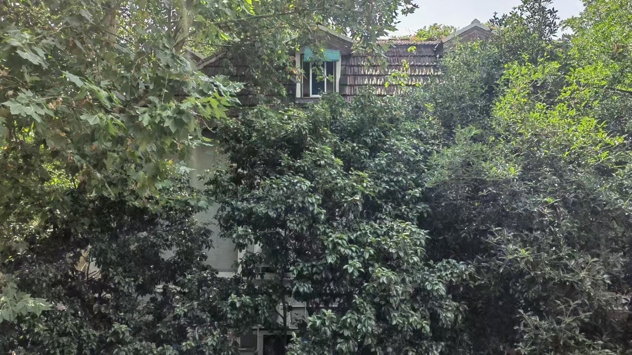 Photo of Outdoor in Huaihai Road Commercial Area