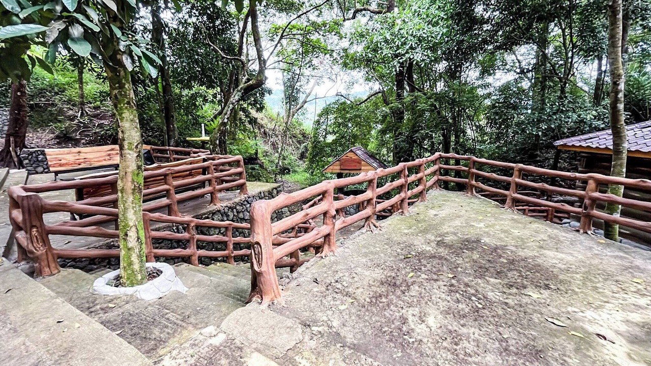Photo of Outdoor in Tuba