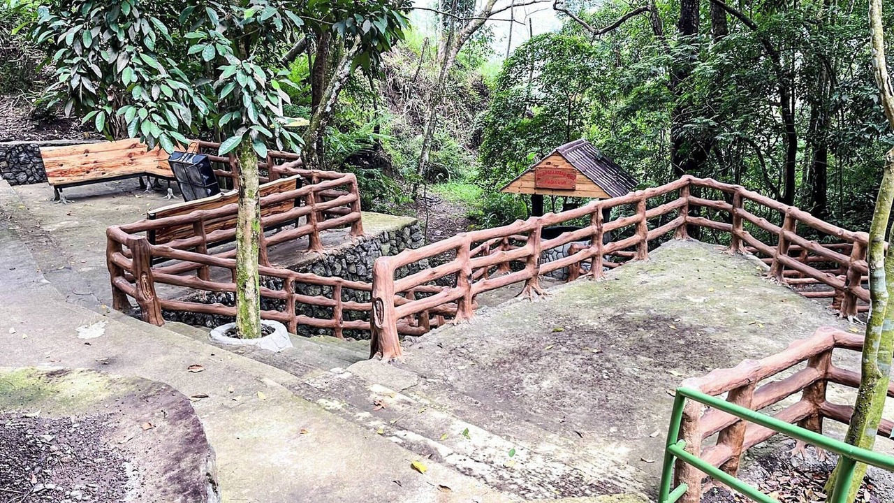 Photo of Outdoor in Tuba