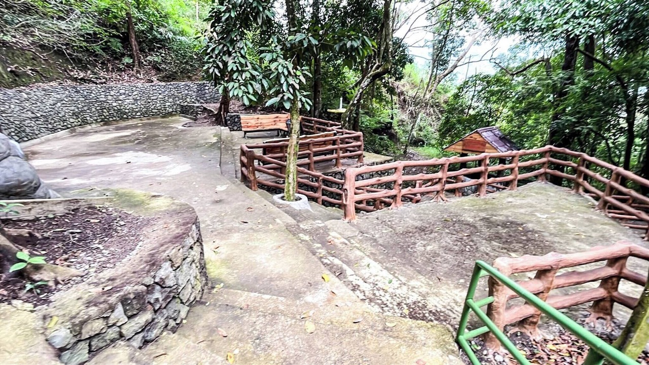 Photo of Outdoor in Tuba