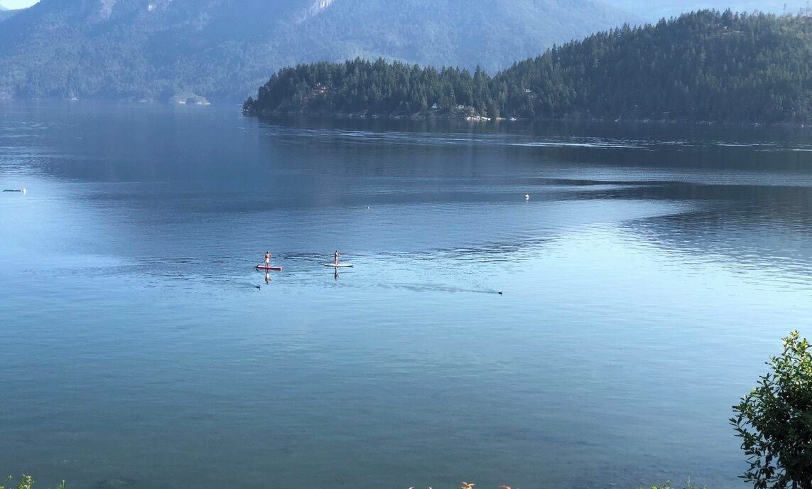 Photo of Others in West Porpoise Bay