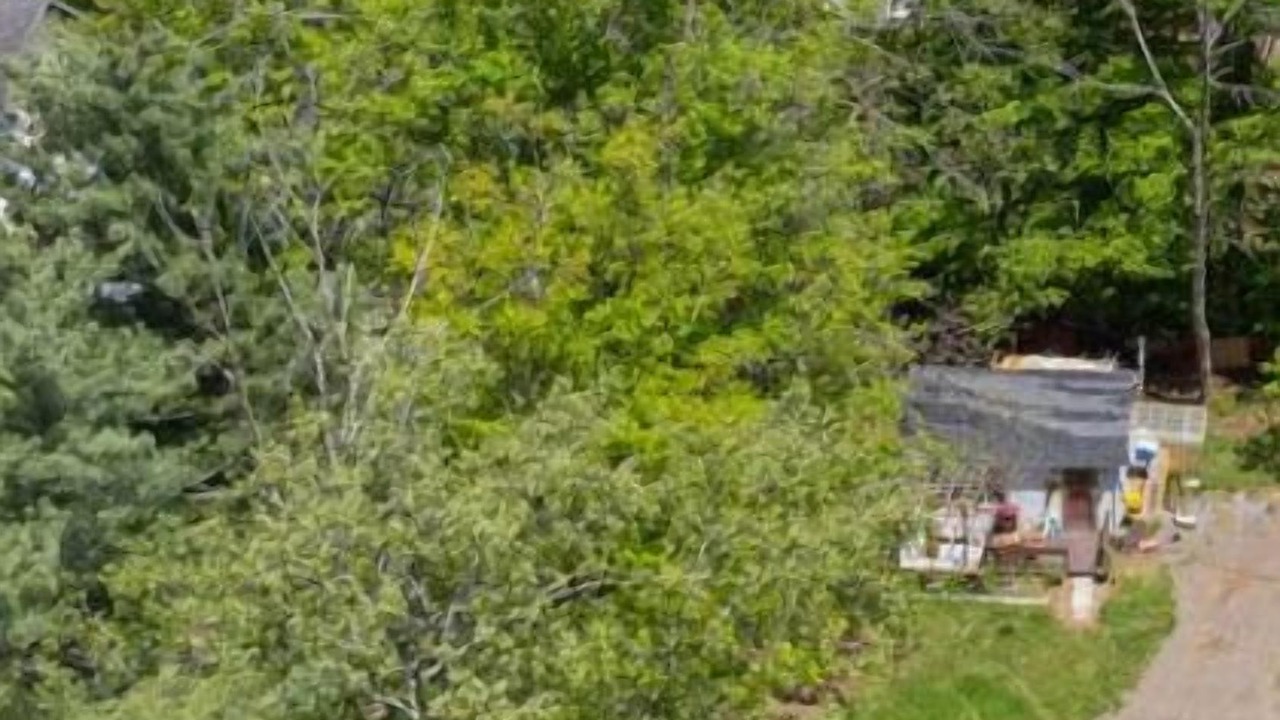 Photo of Outdoor in Ashland