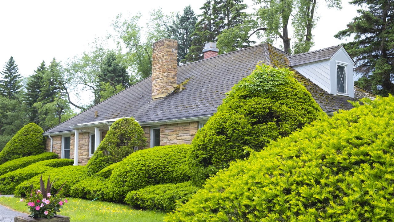 Photo of Outdoor in Akron