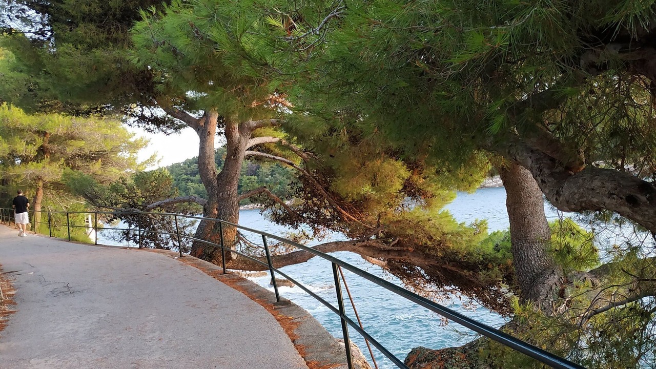 Photo of Others in Cavtat Old Town