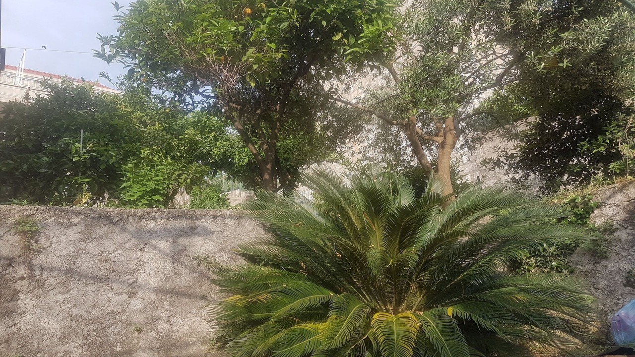Photo of Outdoor in Cavtat Old Town