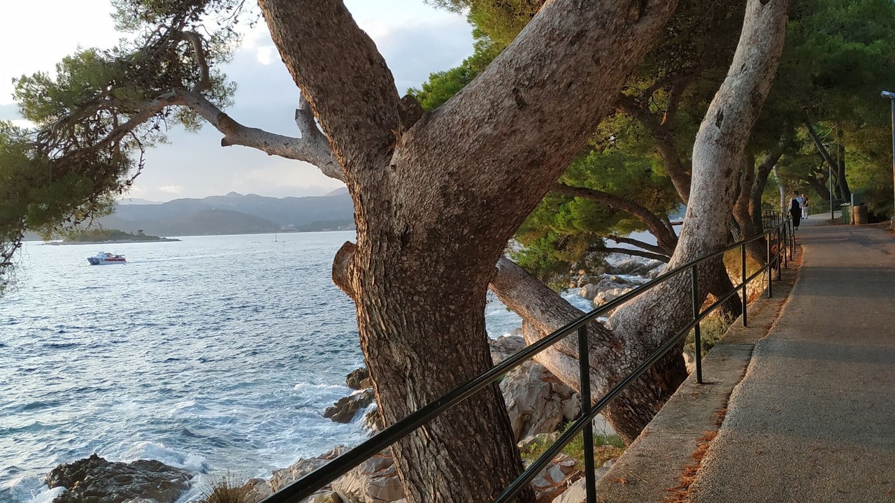 Photo of Others in Cavtat Old Town
