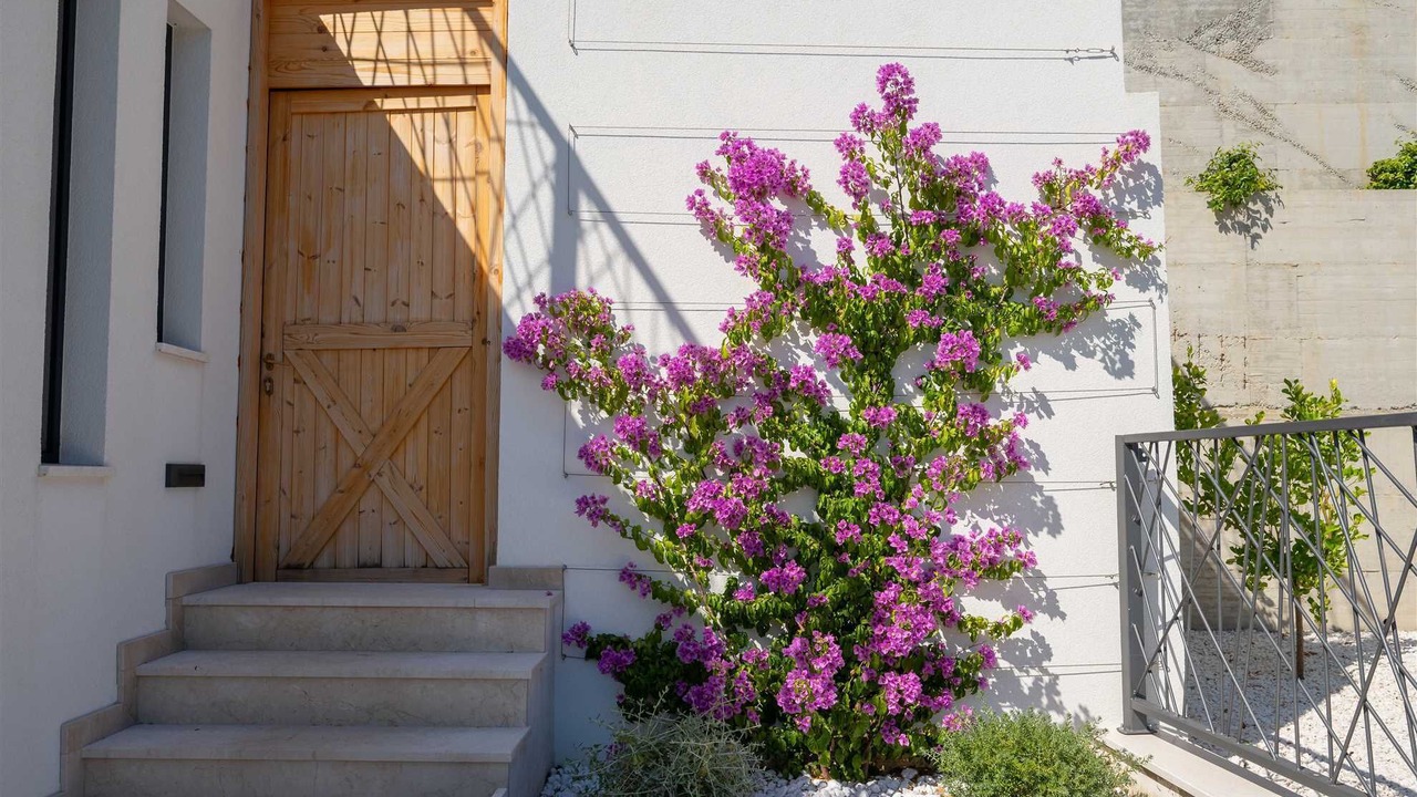 Photo of Outdoor in Srinjine
