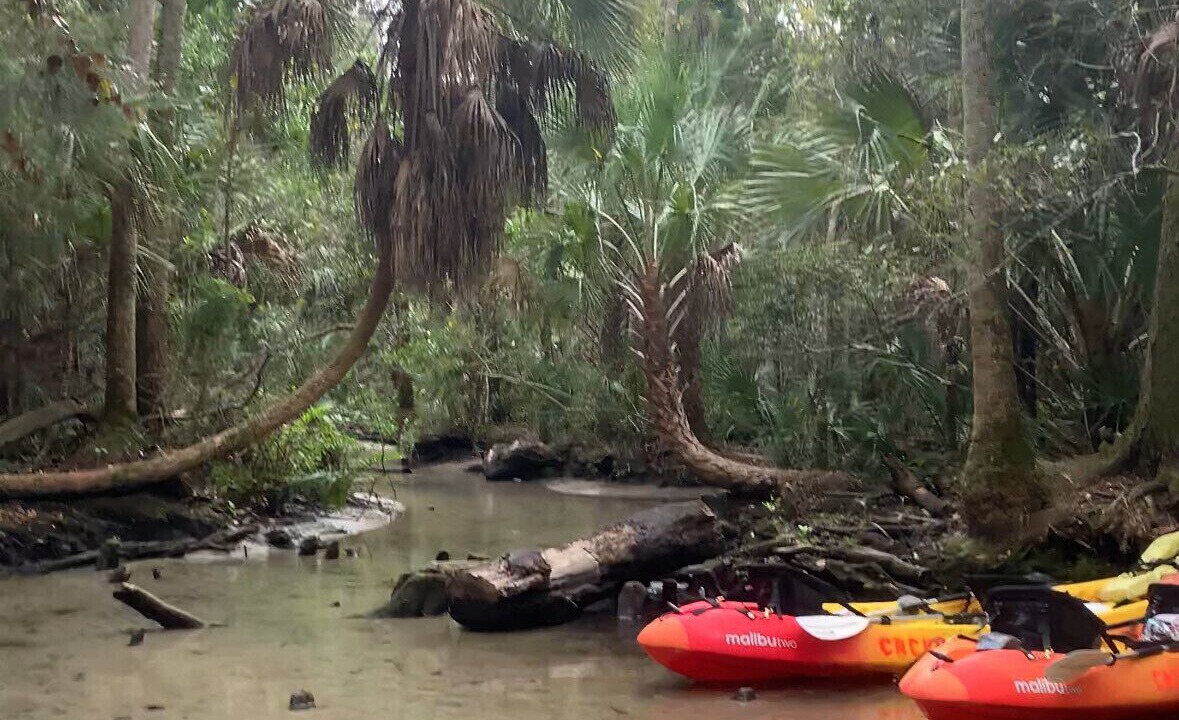 Photo of Others in Chassahowitzka